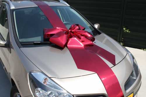 Magnum Autostrik Livorno Metallic Rood Strik 70x50+60cm