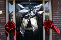 Magnum Strik Deur Livorno Metallic Zilver Strik 70x50+60cm