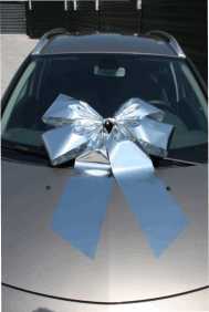 Magnum Strik Deur Livorno Metallic Zilver Strik 70x50+60cm