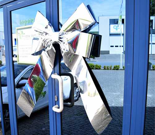 Magnum Strik Deur Livorno Metallic Zilver Strik 70x50+60cm