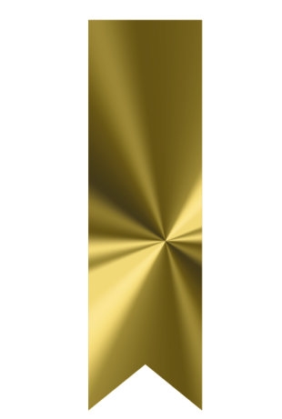 Langwerpig Vaandel Everyday Goud Metallic 2.5 x 8.5cm 250stuks