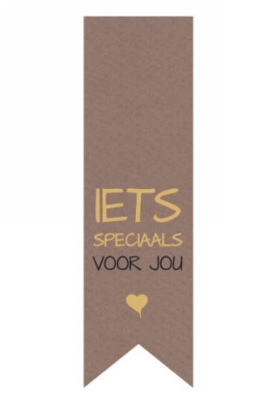 Langwerpig Vaandel Iets Speciaal Voor Jou Kraft 2.5 x 8.5cm 250stuks