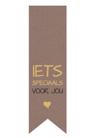 Langwerpig Vaandel Everyday Iets Speciaal Voor Jou 2.5x8.5cm 250st