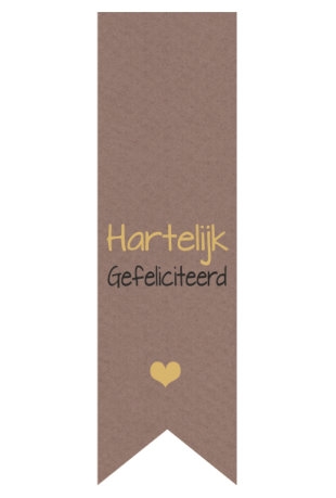 Langwerpig Vaandel Feest Hartelijk Gefeliciteerd 2.5 x 8.5cm 250stuks Langwerpig Vaandel Feest Hartelijk Gefeliciteerd 2.5 x 8.5cm 250stuks