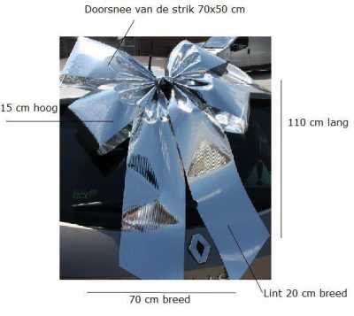 Magnum Autostrik Livorno Metallic Zilver Strik 70x50+60cm