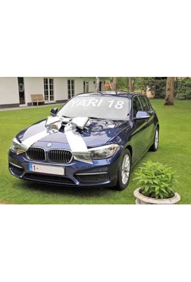 Magnum Autostrik Livorno Metallic Zilver Strik 70x50+60cm