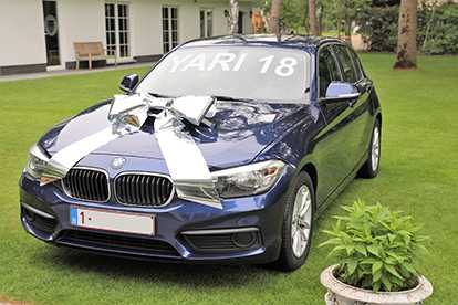 Magnum Autostrik Livorno Metallic Zilver Strik 70x50+60cm