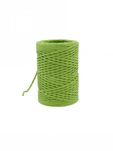 Papierkoord Met IJzerdraad Lime Groen 2mm x 50meter