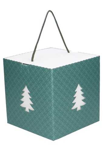 AKTIE Kadodoos Christmas Tree Box Groen & Koord 21x21x21cm 20stuks