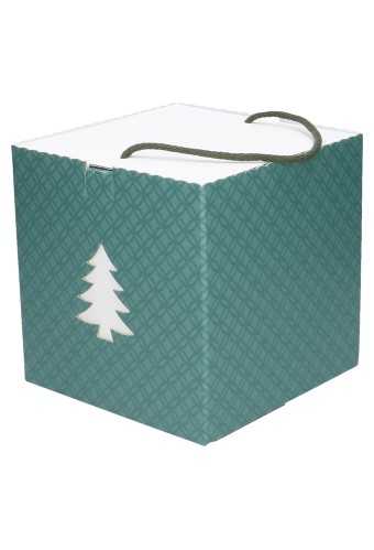 AKTIE Kadodoos Christmas Tree Box Groen & Koord 21x21x21cm 20stuks