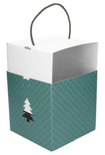 AKTIE Kadodoos Christmas Tree Box Groen & Koord 21x21x21cm 20stuks